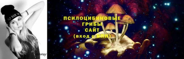 apvp Бронницы