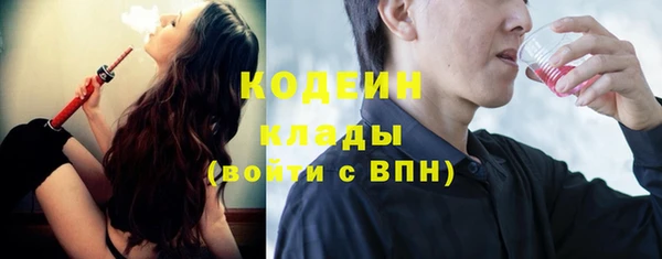 apvp Бородино