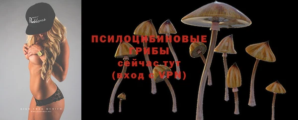 apvp Бронницы