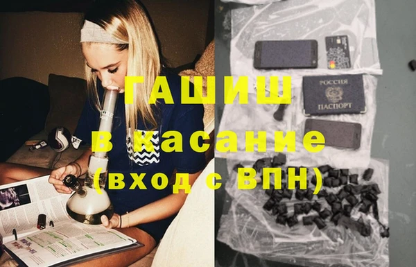 apvp Бородино