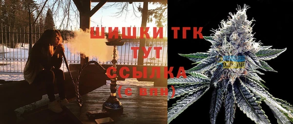 apvp Бородино
