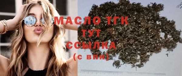 apvp Бородино