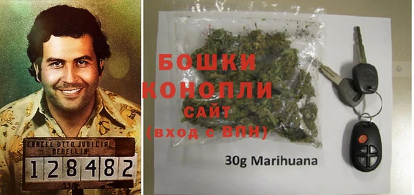apvp Бородино