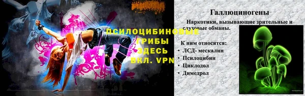 дживик Богородицк